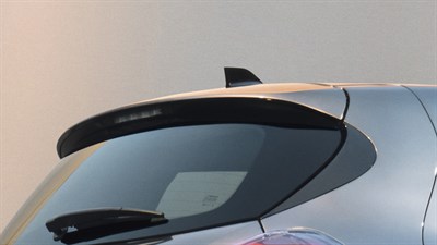 Zoe E-Tech électrique  - Accessoires - Antenne requin